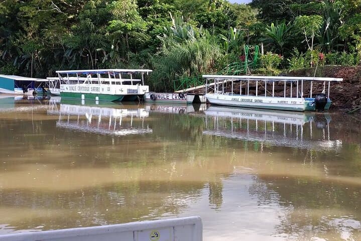 Tarcoles River Crocodile Safari & Birdwatching from Jaco photo 6