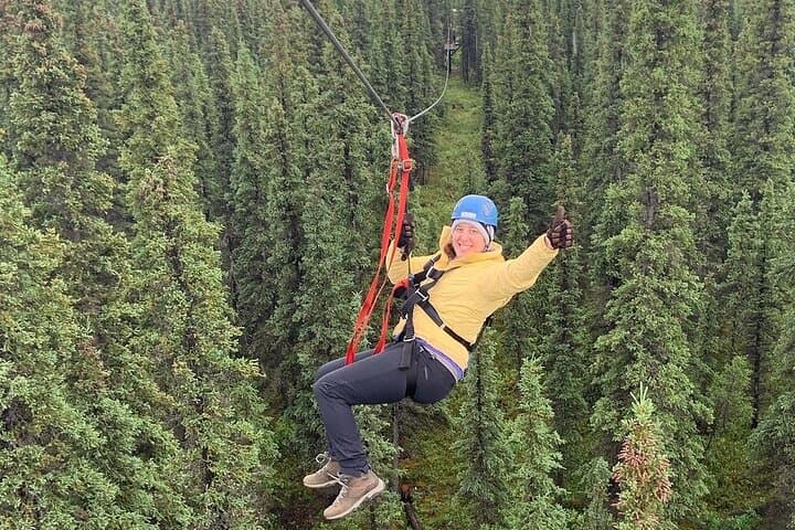 Denali Park Zipline Adventure — Soar Above Alaskan Tundra & Boreal Forest photo 4