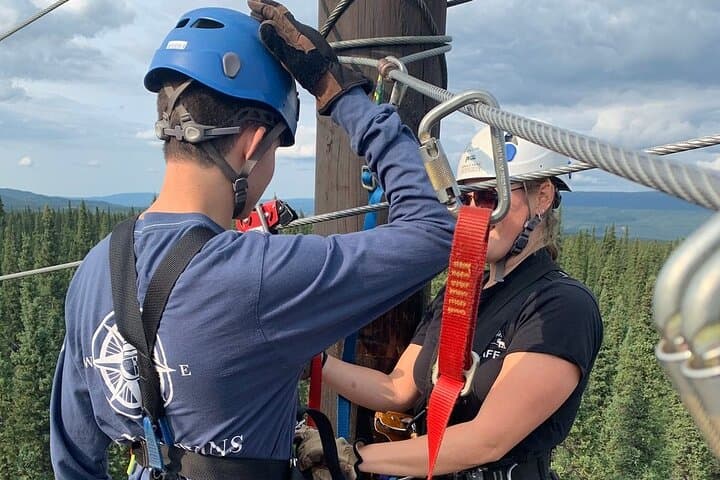 Denali Park Zipline Adventure — Soar Above Alaskan Tundra & Boreal Forest photo 5