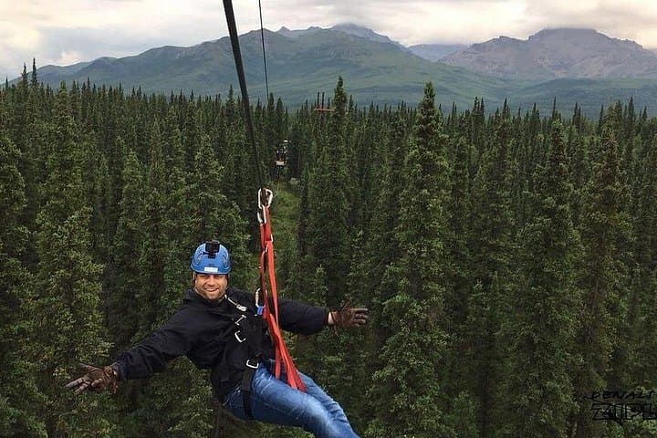 Denali Park Zipline Adventure — Soar Above Alaskan Tundra & Boreal Forest photo 6