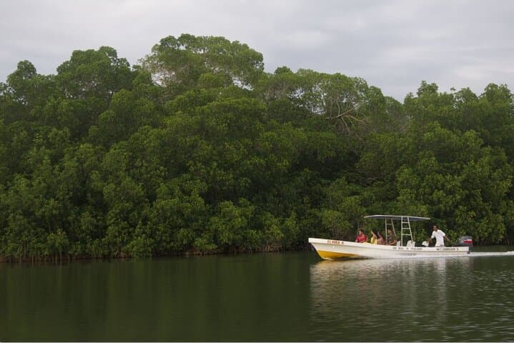 Chacahua Lagoon Boat Tour from Puerto Escondido: Mangroves, Islands and Wildlife