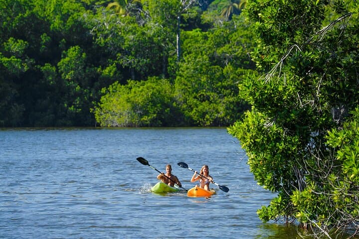 Manialtepec Lagoon Boat Tour: Mangroves, Migratory Birds & Coastal Wetland Wonders