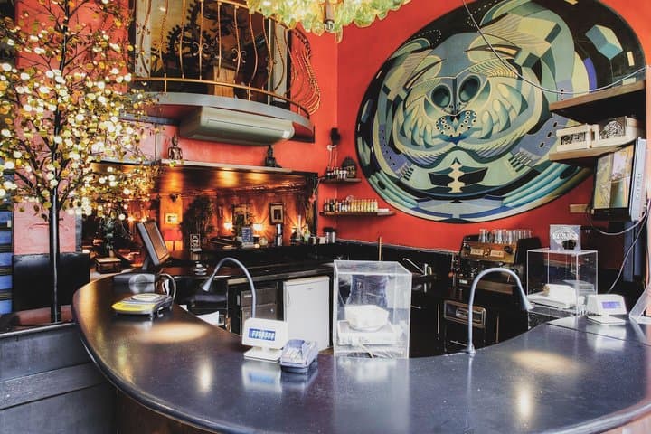Night Walks and Coffeeshop Culture: Private Amsterdam Red Light District Tour