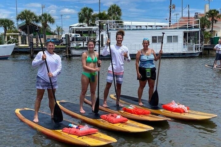 Daytona Beach Dolphin & Manatee Paddleboard Tour — 2-Hour Wildlife SUP Adventure photo 3
