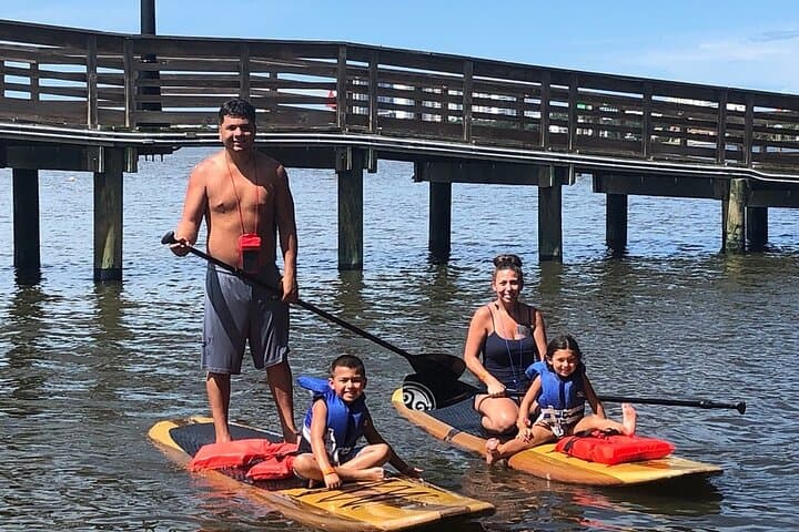 Daytona Beach Dolphin & Manatee Paddleboard Tour — 2-Hour Wildlife SUP Adventure photo 4