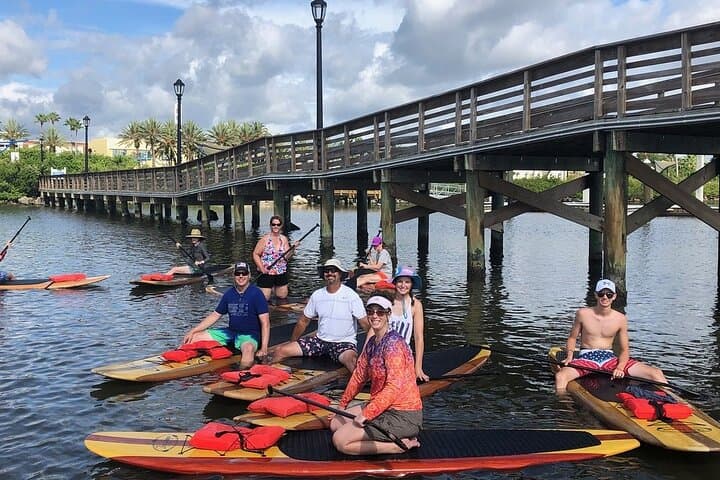 Daytona Beach Dolphin & Manatee Paddleboard Tour — 2-Hour Wildlife SUP Adventure photo 5