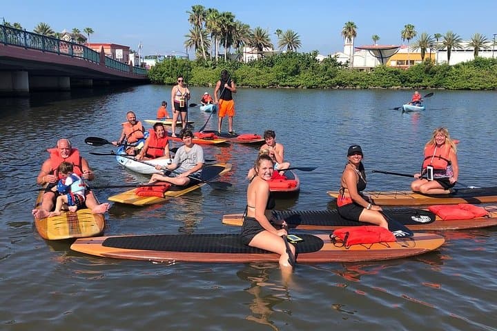 Daytona Beach Dolphin & Manatee Paddleboard Tour — 2-Hour Wildlife SUP Adventure photo 6