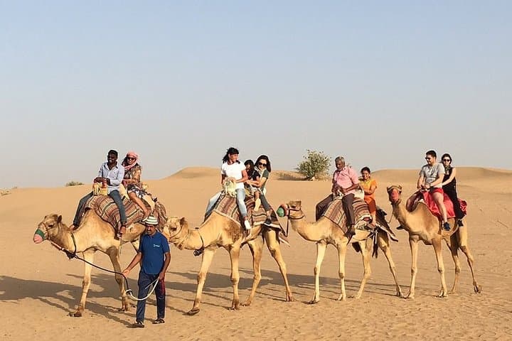 Dubai Morning Dune Bashing: Camel Ride, Sandboarding & Sunrise Desert 4x4 photo 6