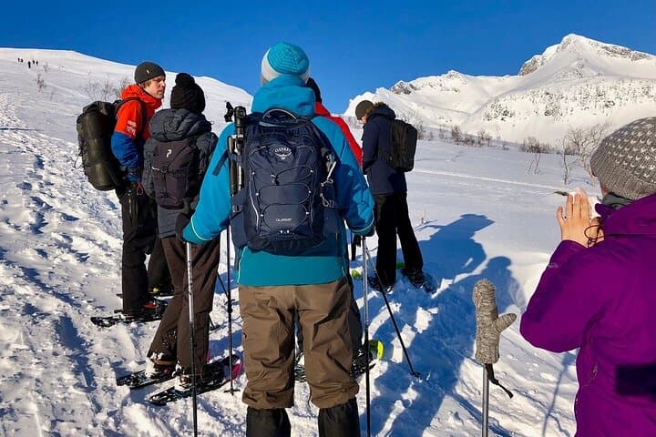 Kvaløya Snowshoe Hike from Tromsø — 400m Summit & Fjord Views photo 6