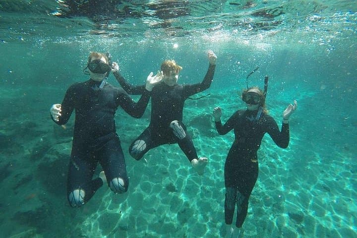 Swim with Manatees in Crystal River: Guided Small-Group Snorkel with In-Water Photographer photo 4