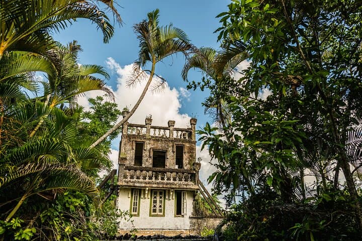 Explore Paronella Park: Rainforest Castles, Guided Day Walks & Darkness Falls Night Tour photo 4