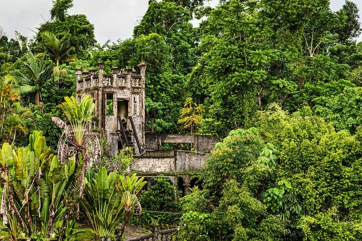 Explore Paronella Park: Rainforest Castles, Guided Day Walks & Darkness Falls Night Tour photo 5