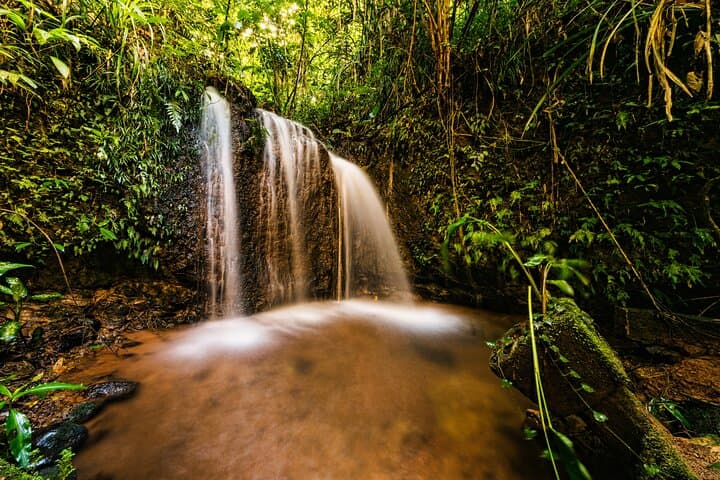 Explore Paronella Park: Rainforest Castles, Guided Day Walks & Darkness Falls Night Tour photo 6