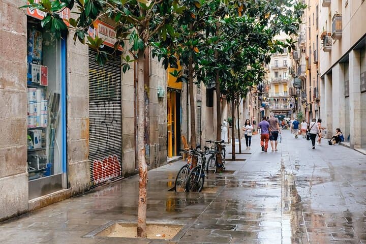 Private Barcelona Old Town Walking Tour — Gothic Quarter, Arc de Triomf & Ciutadella Park photo 2