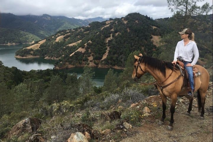 Lake Sonoma Horseback Riding Tour — Wine Country Overlook Adventure