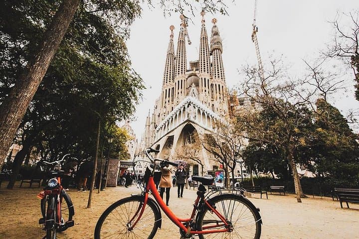 Cycle Barcelona’s Street Art: Private Bike Tour Through El Born & Poblenou photo 1