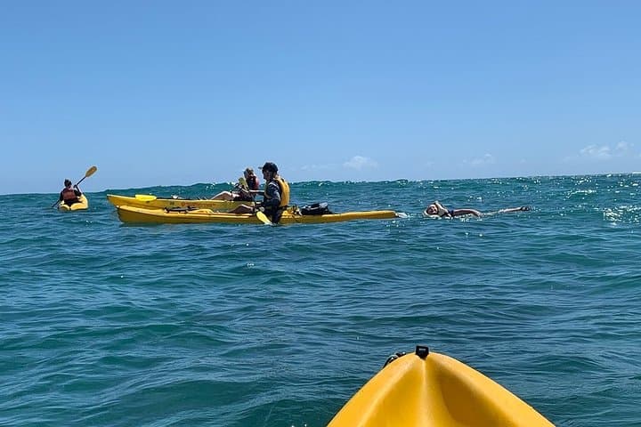 Kailua 2-Hour Guided Kayak to Popoiʻa Island — Snorkel with Sea Turtles photo 6