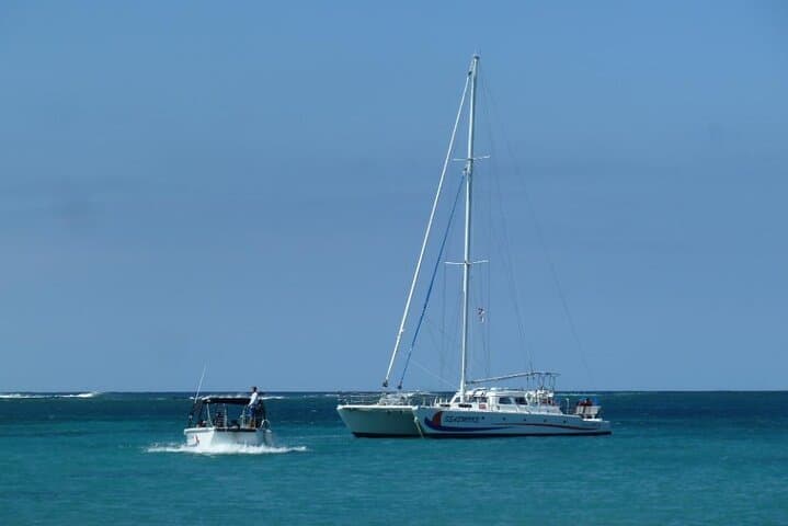 Wake Up With the Whales Cruise: Early Morning Humpback Watching on Hawaii’s Kohala Coast photo 6