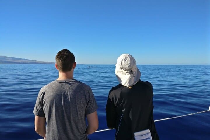 Wake Up With the Whales Cruise: Early Morning Humpback Watching on Hawaii’s Kohala Coast photo 4