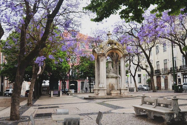 Private Lisbon Walking Tour: Tapas, Pastel de Nata & Wine Through Alfama and Chiado photo 4