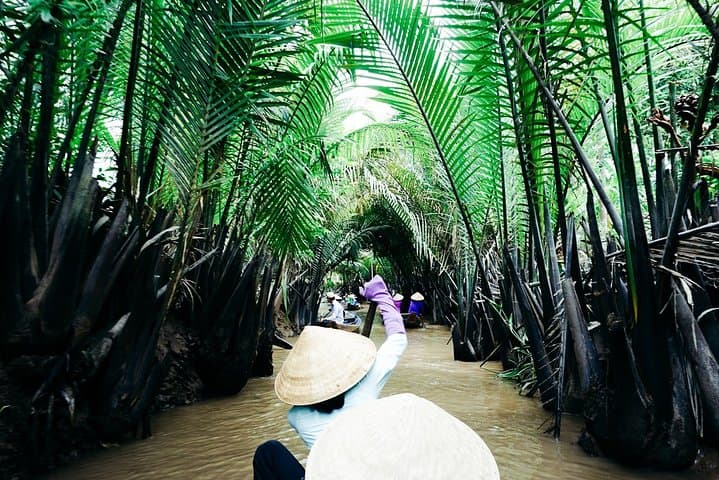 Mekong Delta Day Trip from Ho Chi Minh: My Tho Boat Tour Through Rice Fields and Orchards