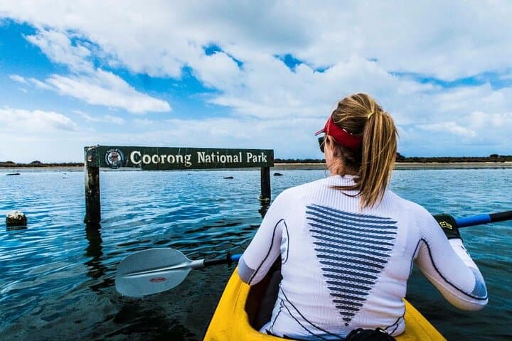 Full-Day Kayak Through the Coorong: Murray Mouth Eco Tour photo 2