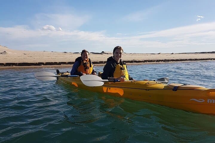 Full-Day Kayak Through the Coorong: Murray Mouth Eco Tour photo 4