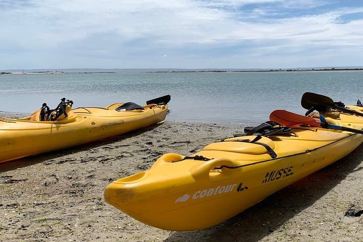Full-Day Kayak Through the Coorong: Murray Mouth Eco Tour photo 6