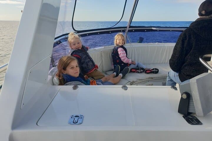 Augusta Whale Watching: Close Encounters with Humpbacks from Tradewind 3 photo 4