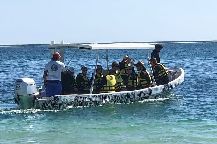 Snorkeling the Mesoamerican Barrier Reef: Small-Group Tour from Puerto Morelos photo 2