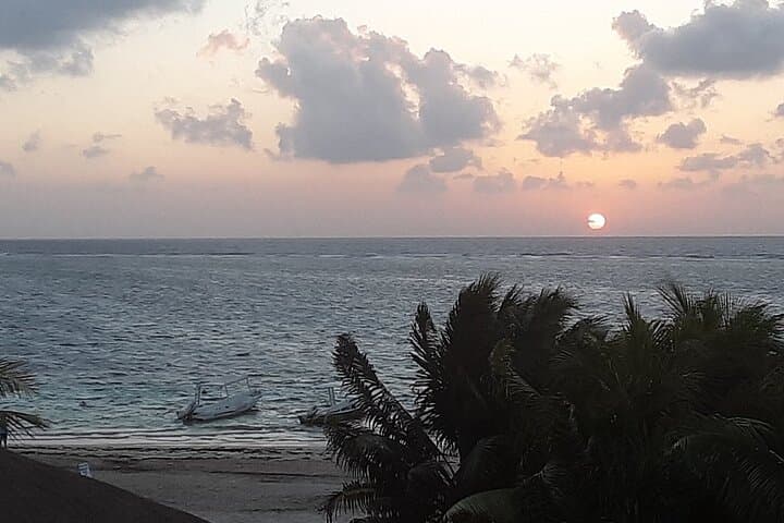 Snorkeling the Mesoamerican Barrier Reef: Small-Group Tour from Puerto Morelos photo 3