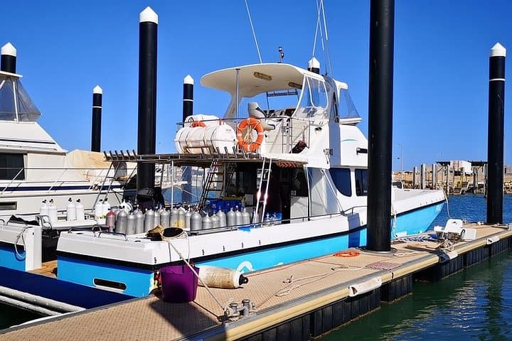 Muiron Island Diving Tour — Ningaloo Reef Double Dive with Guide and Lunch photo 3
