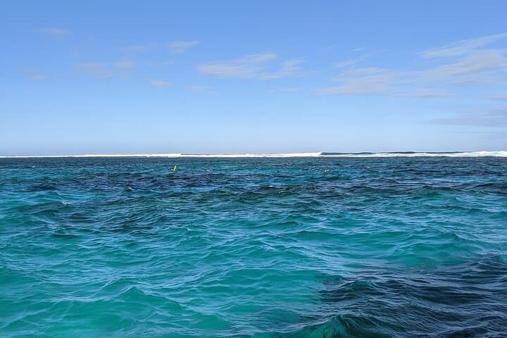 Marine Eco Safari: Swim with Manta Rays at Ningaloo Reef photo 5
