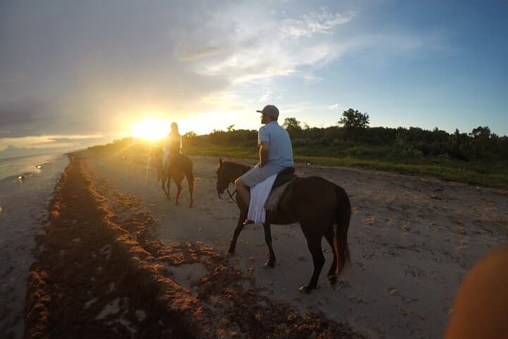 Negril Horseback Beach Ride & Ocean Swim — 1.5-Hour Guided Tour photo 3