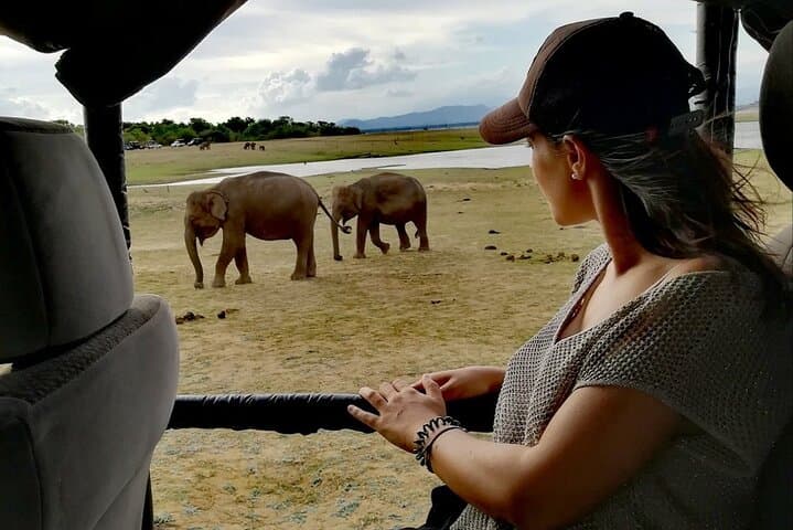 Private Half-Day Safari in Udawalawe National Park — Elephant Encounters & Birdlife photo 4