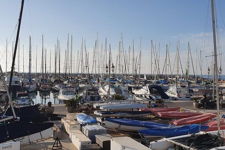 Tel Aviv Highlights Bike Tour: 3-Hour Guided Ride from Port to the White City photo 6