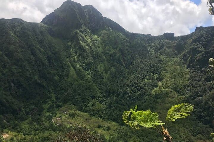Hike Mount Liamuiga Volcano: St Kitts Day Trek to 3,792 ft Cloud Forest photo 3
