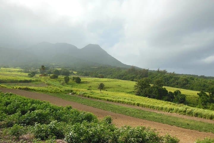 Hike Mount Liamuiga Volcano: St Kitts Day Trek to 3,792 ft Cloud Forest photo 4