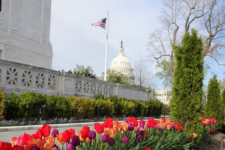Private Multilingual Washington DC City Tour: Monuments, Neighborhoods & Photo Stops photo 4