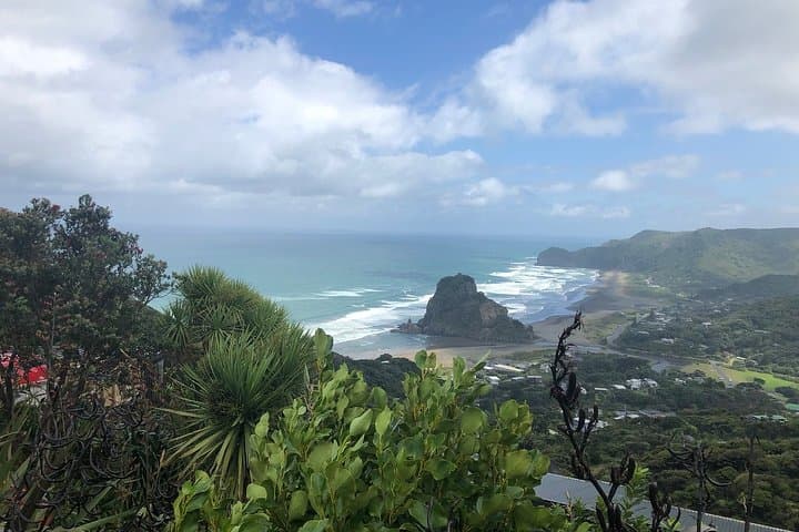Piha Waitakere Rainforest and West Coast Wine Tour from Auckland photo 3