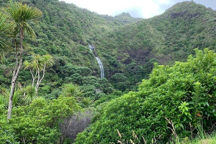 Piha Waitakere Rainforest and West Coast Wine Tour from Auckland photo 6