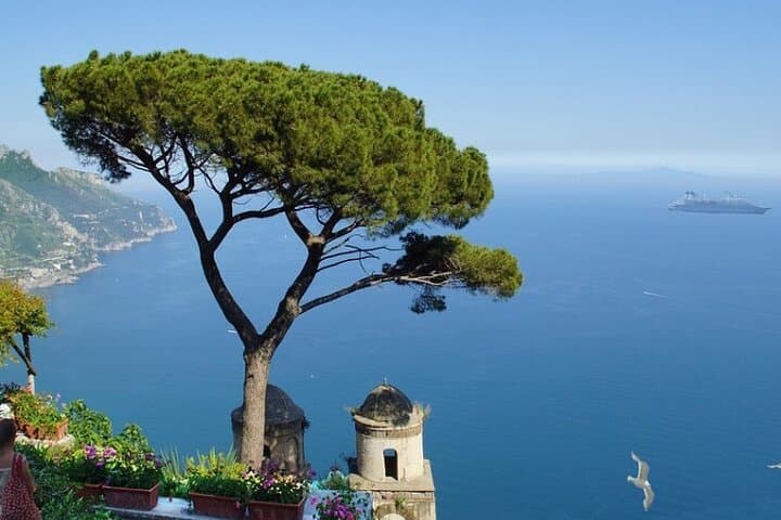 Private VIP Gozzo Cruise to Capri from Sorrento photo 4