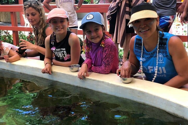 Kula WILD Adventure Park: Explore Fiji’s Forest Canopy and Marine Exhibits photo 3