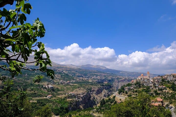 Full-Day Private Tour to Qadisha Valley, Bcharre & Cedars from Beirut photo 5