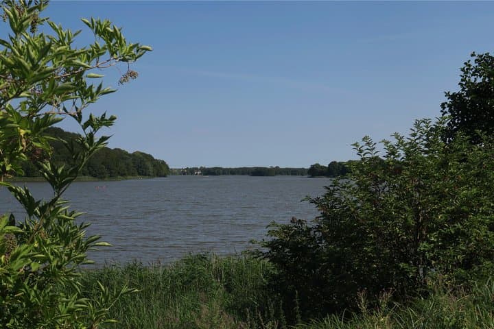 Trail Running Greater Copenhagen: 6km Guided Forest Run from Hvalsø photo 6