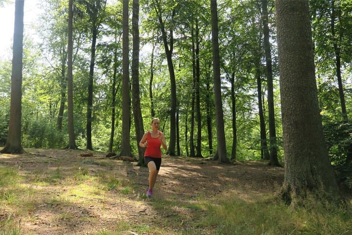 Trail Running Greater Copenhagen: 6km Guided Forest Run from Hvalsø