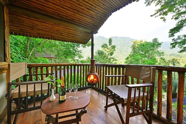 6-Day Uganda Primate Explorer — Gorilla & Chimpanzee Trekking in Bwindi and Lake Mburo photo 3