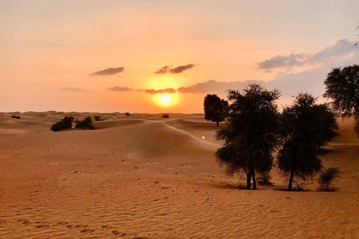 Private Falconry Safari in Dubai Desert Conservation Reserve photo 5