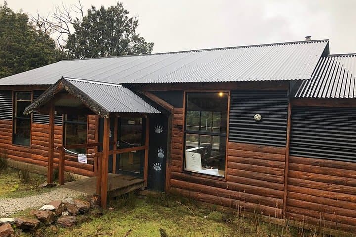 Night Feeding: Tasmanian Devil Tour at Cradle Mountain Sanctuary photo 5