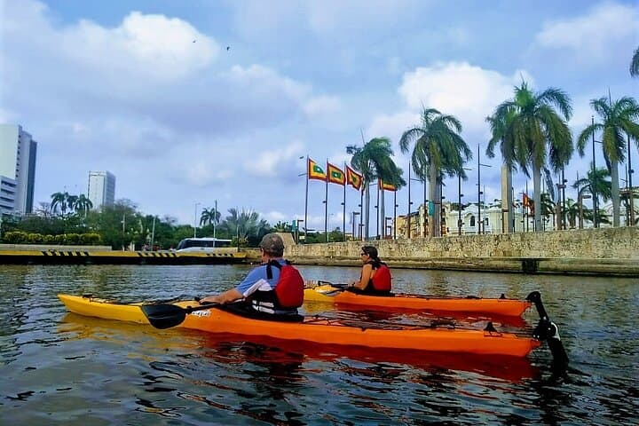 Paddle Cartagena: Kayak Along the Walls to the Island of Birds photo 3